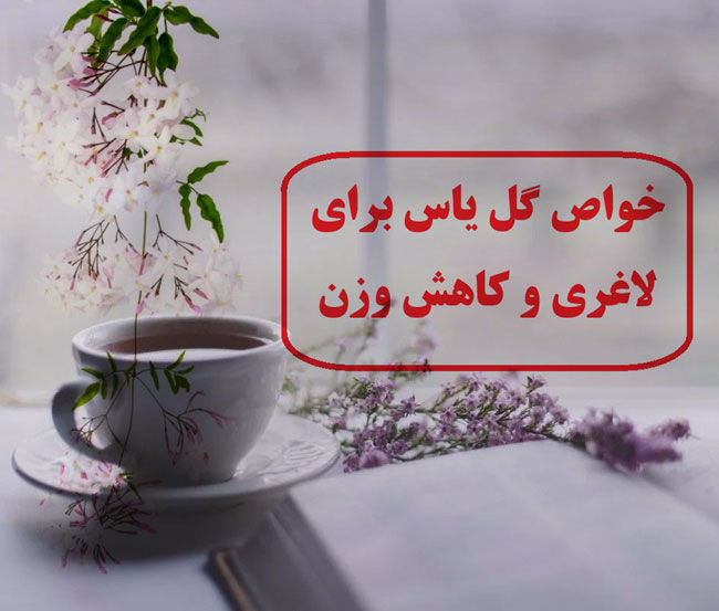 مهمترین خواص گل یاس برای لاغری و کاهش وزن