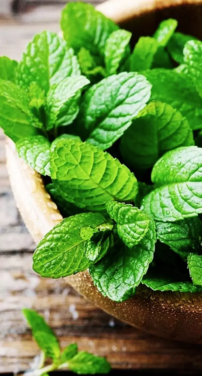 خواص پونه برای زنان