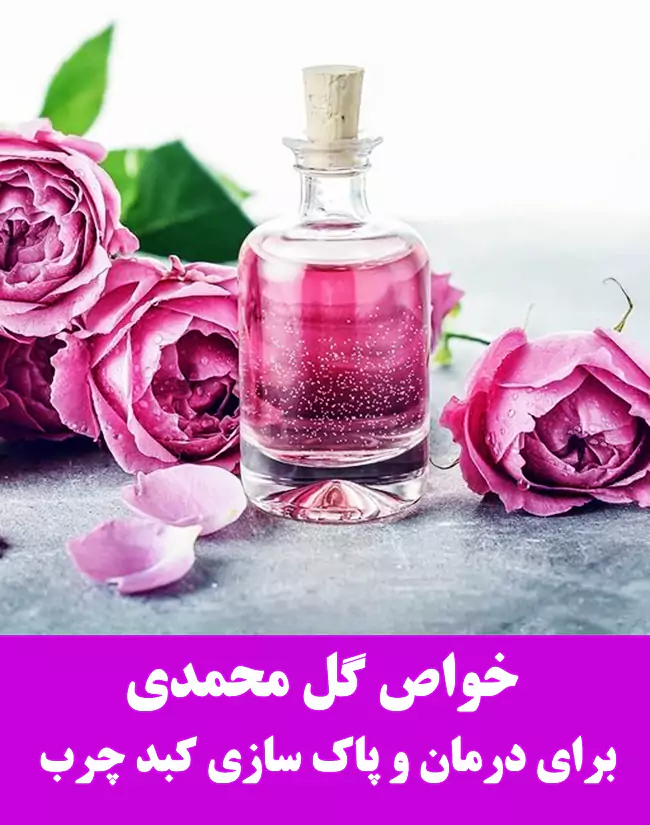 خواص گل محمدی برای کبد چرب