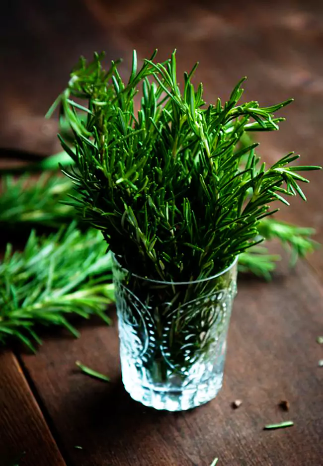 خواص ترخون برای زنان